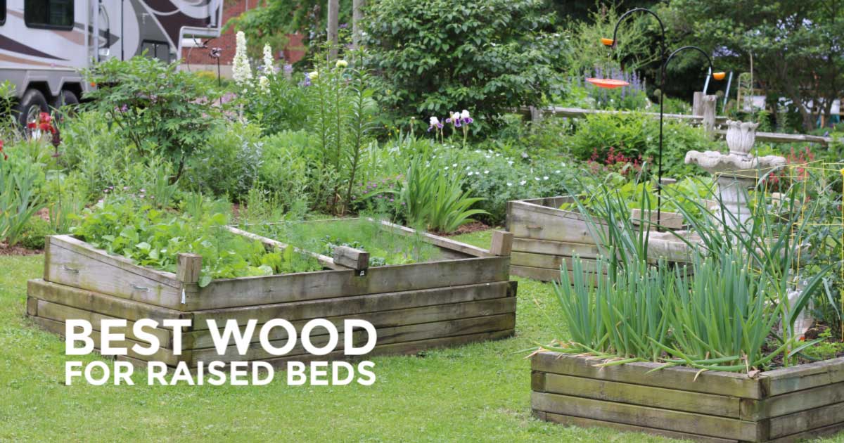 Best Wood For Raised Garden Beds Empress Of Dirt Best Wood For Raised Garden Beds, Garden Box Wood Type