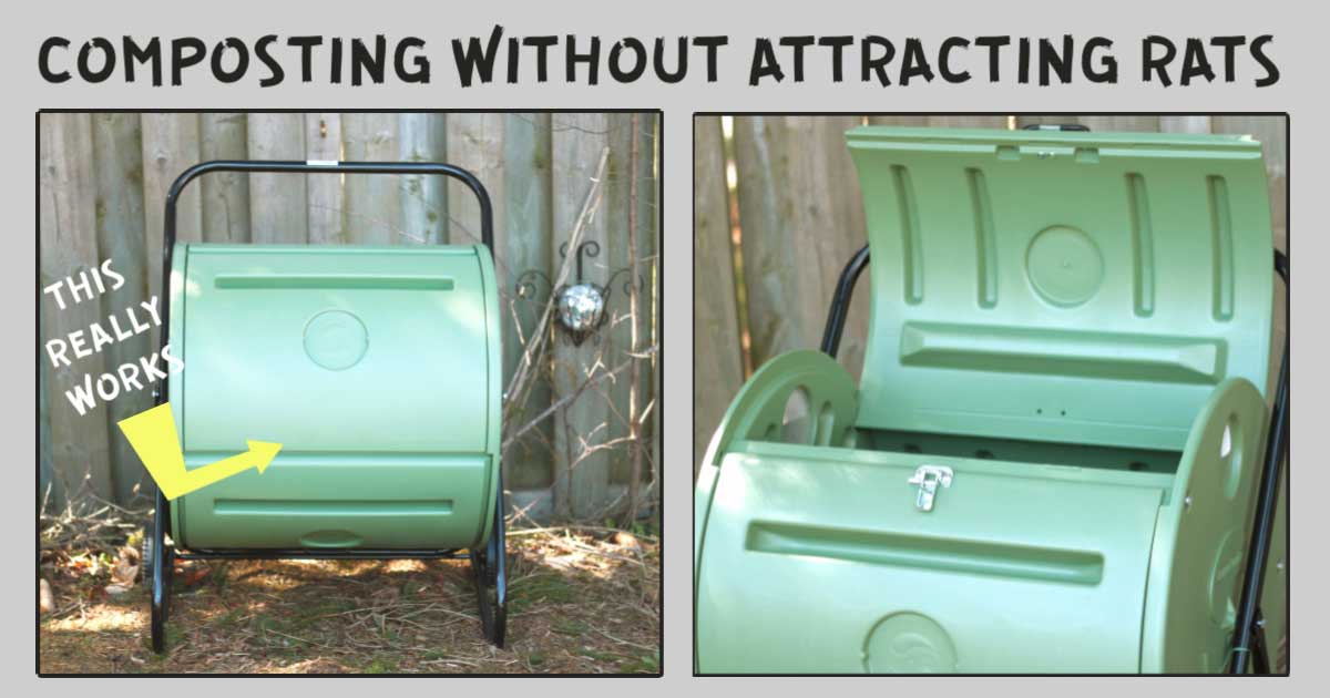 Easy Composting Without Pests (Sorry, Rats!) Empress of Dirt