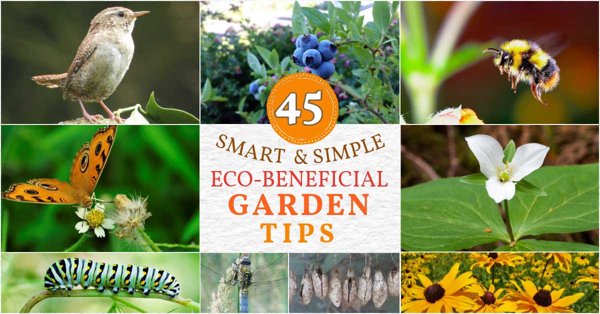 45 Ridiculously Simple & Helpful Eco-Beneficial Garden Tips — Empress ...