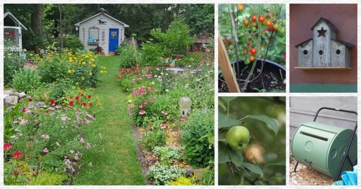 Collage with images of backyard garden including flower beds, birdhouse, compost bin, apples, and tomatoes.
