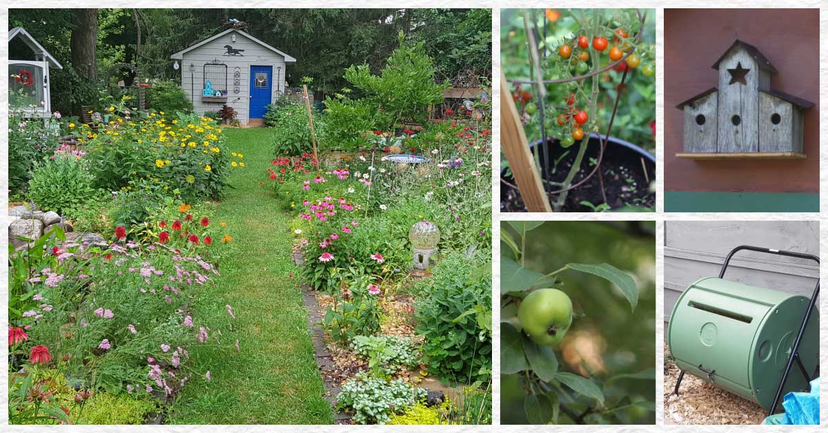 Collage with images of backyard garden including flower beds, birdhouse, compost bin, apples, and tomatoes.