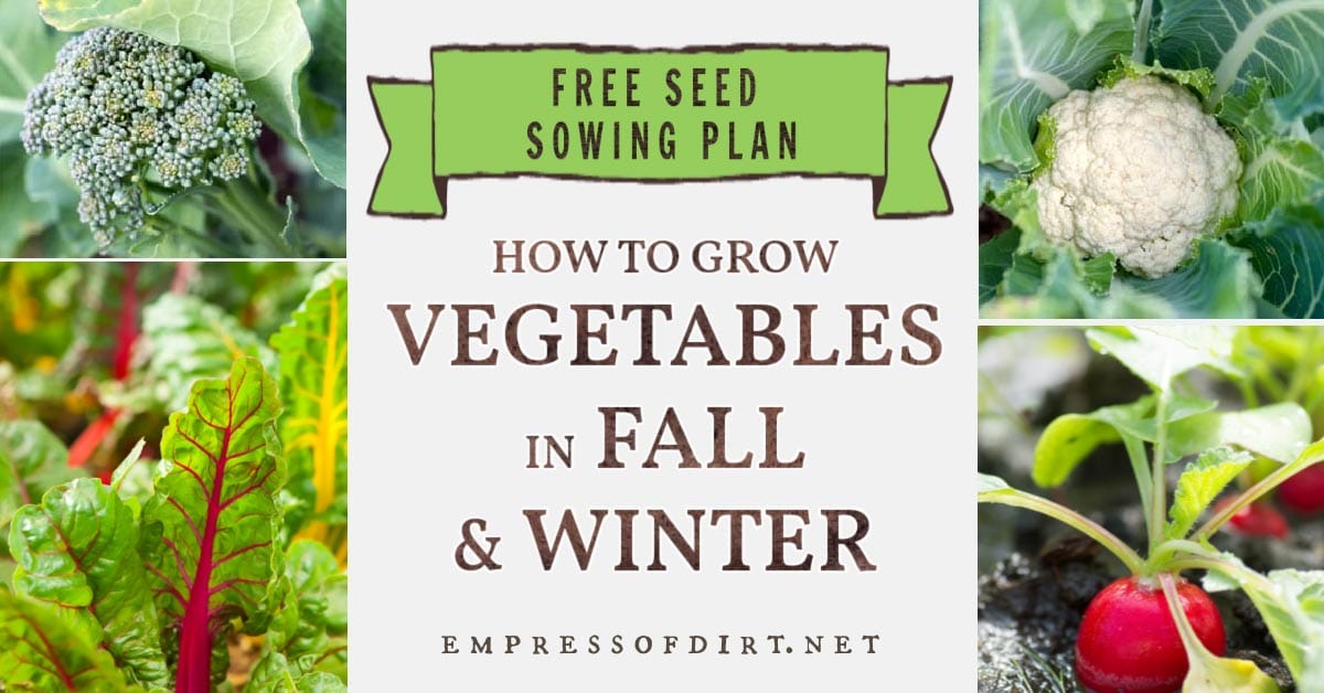 Grow a Fall-Winter Vegetable Garden (Free Seed Sowing Plan) | Empress ...