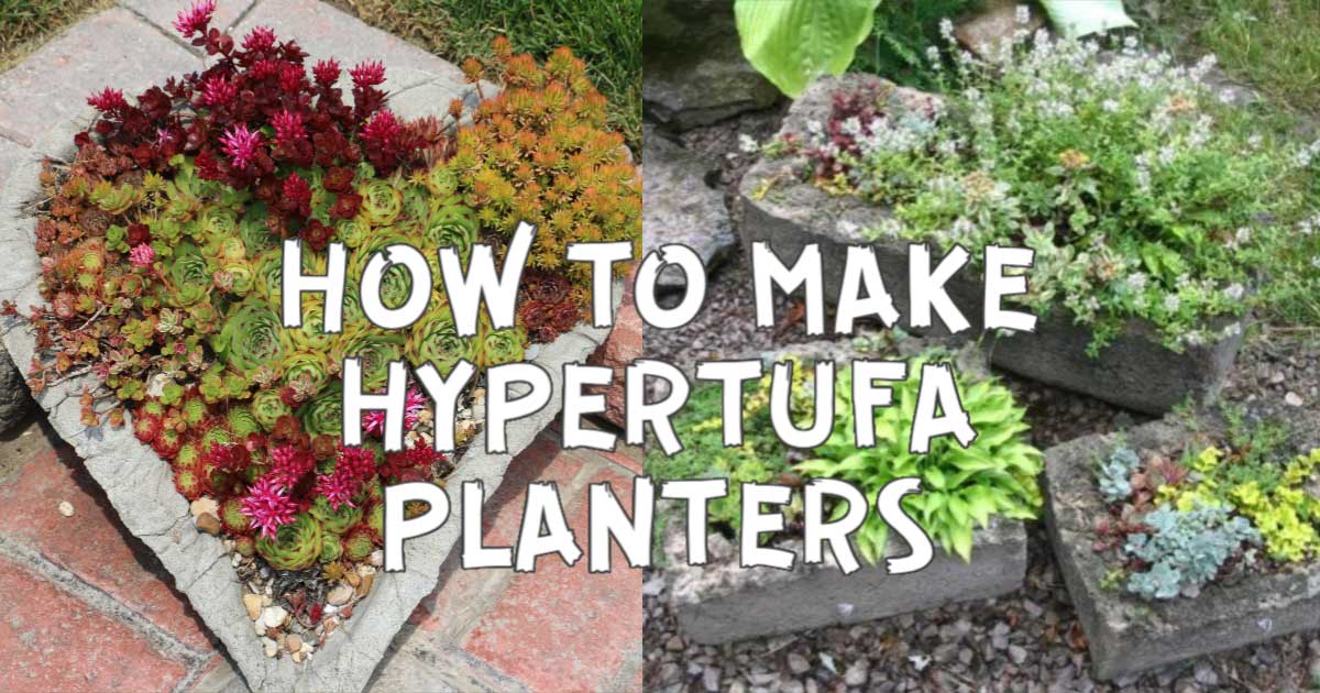 How to Make Hypertufa Pots (Recipe + Tutorials) Empress of Dirt