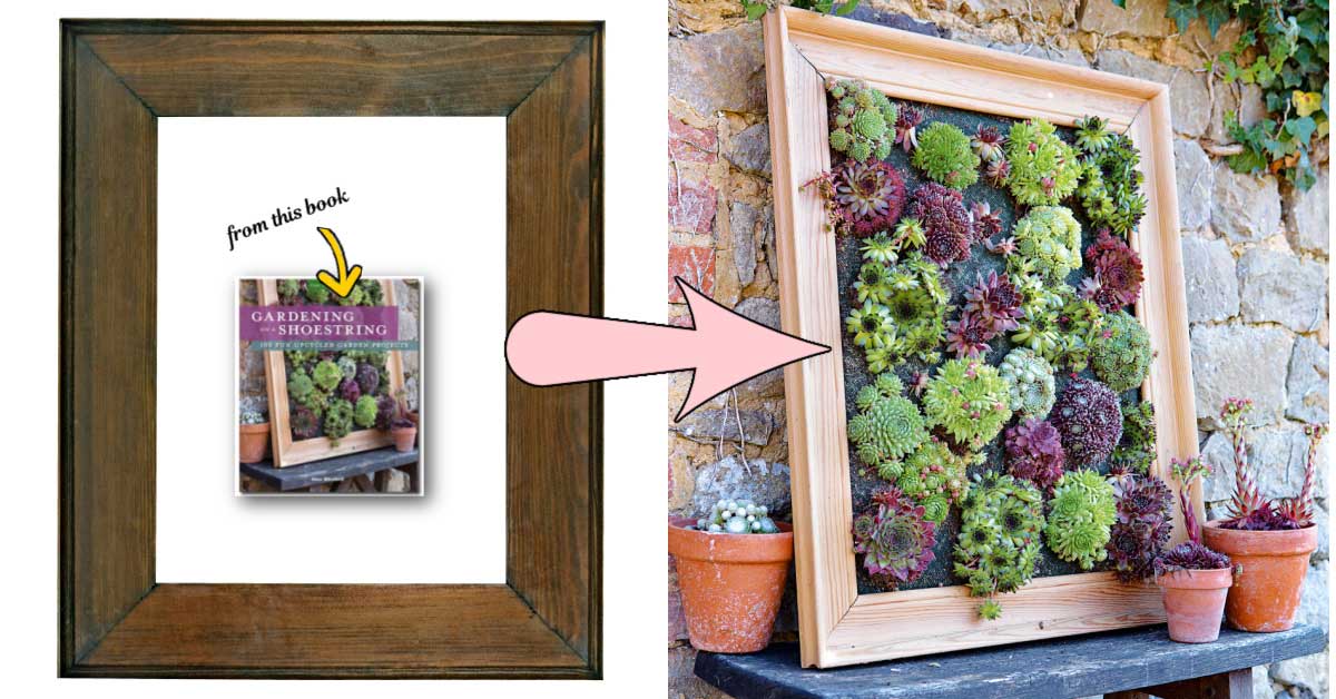 Collage with plain wooden picture frame and vertical planter made from picture frame