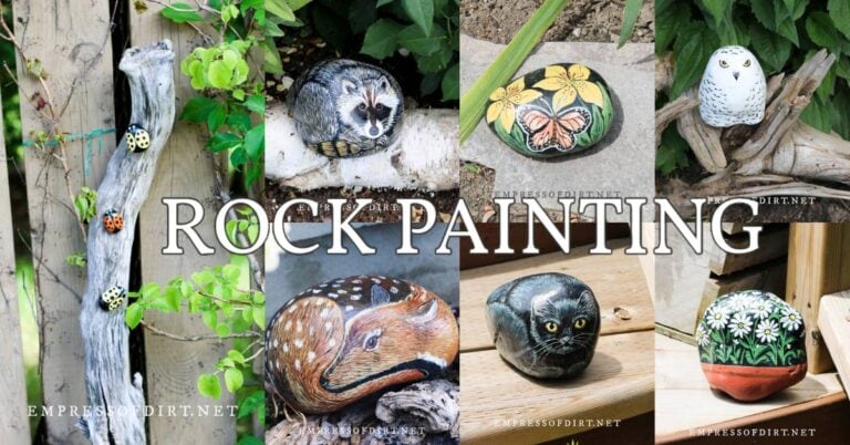 Creative Ways to Hand-Paint Rocks for Your Garden — Empress of Dirt