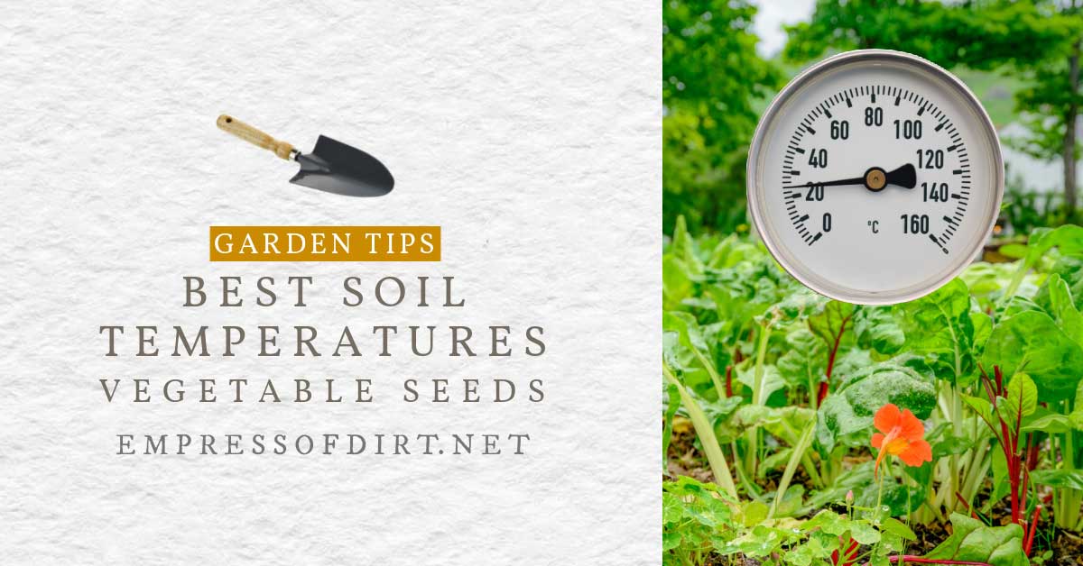 Best Soil Temperatures for Sowing Vegetable Seeds