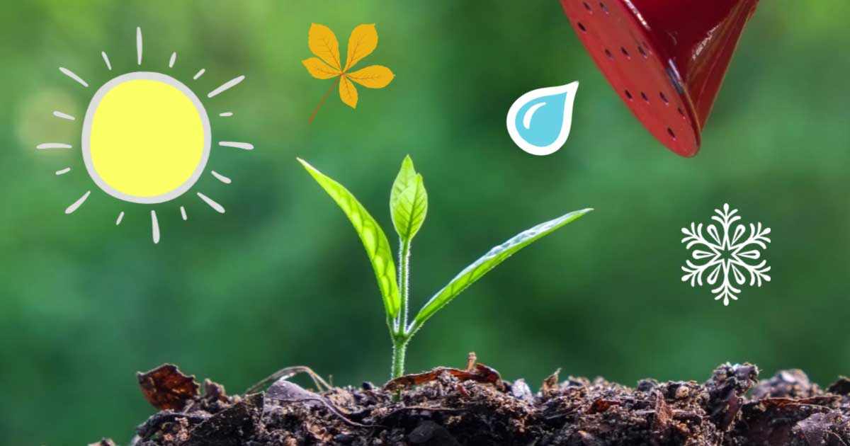 When is it Too Late to Sow Seeds Outdoors? Empress of Dirt