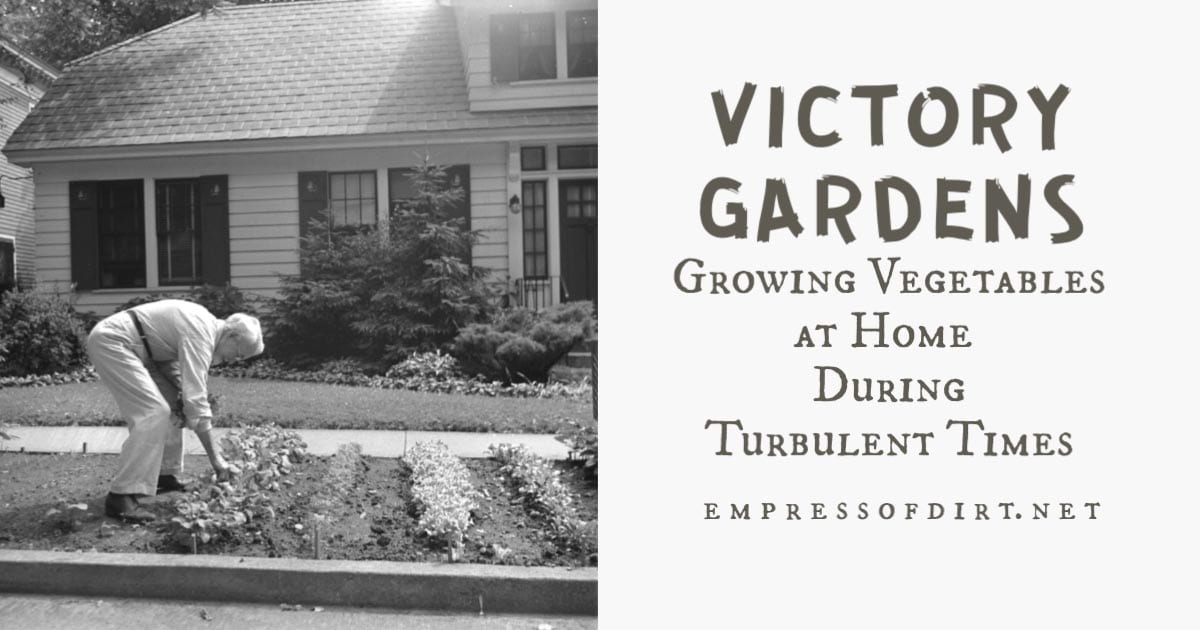 Victory Gardens Encouraging Vegetable Growing in Turbulent Times