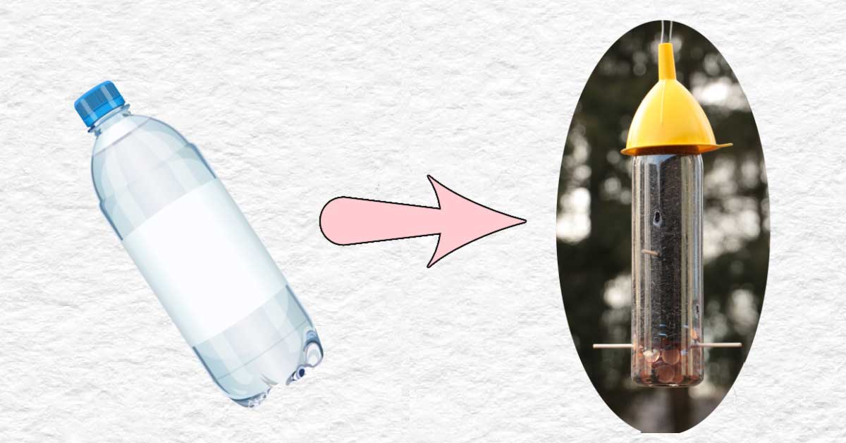A bird feeder made from a plastic water bottle.