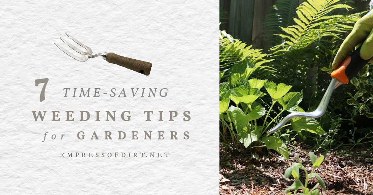 7 Weeding Tips Every Gardener Should Know Empress of Dirt