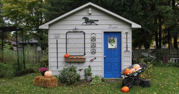 Garden shed decorated for fall with straw bales and pumpkins after paint makeover.