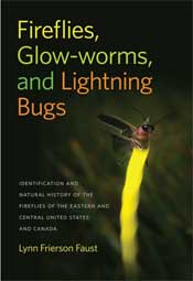 Fireflies book cover