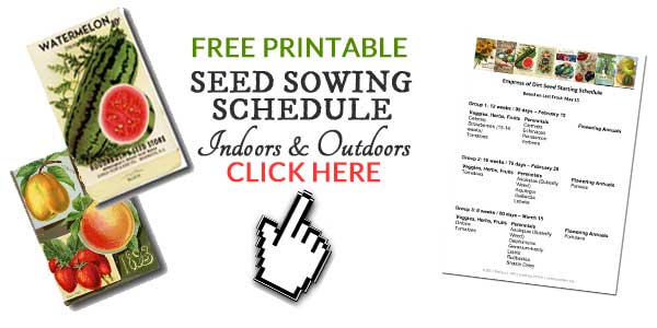 Very simple Indoor Seed Setting up Method Empress of Dust picture relating to Printable Seed Starting Chart identified as Uncomplicated Indoor Seed Starting off Software Empress of Dust
