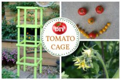 How to Make Wooden Tomato Cages (Free Plans) — Empress of Dirt