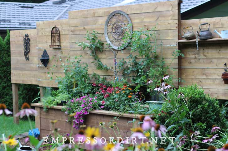 Raised garden bed with built-in privacy wall, filled with plants. 