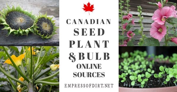 A directory of Canadian online sources for seeds, plants, and bulbs.