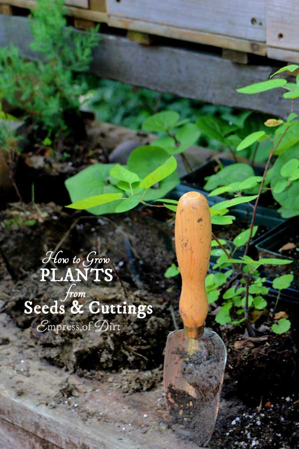 How to Grow Plants from Seeds & Cuttings Empress of Dirt
