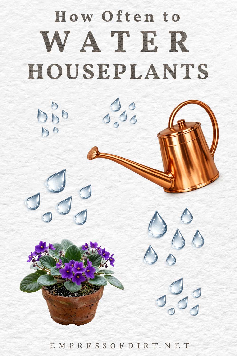 Watering can, water droplets, and houseplant.