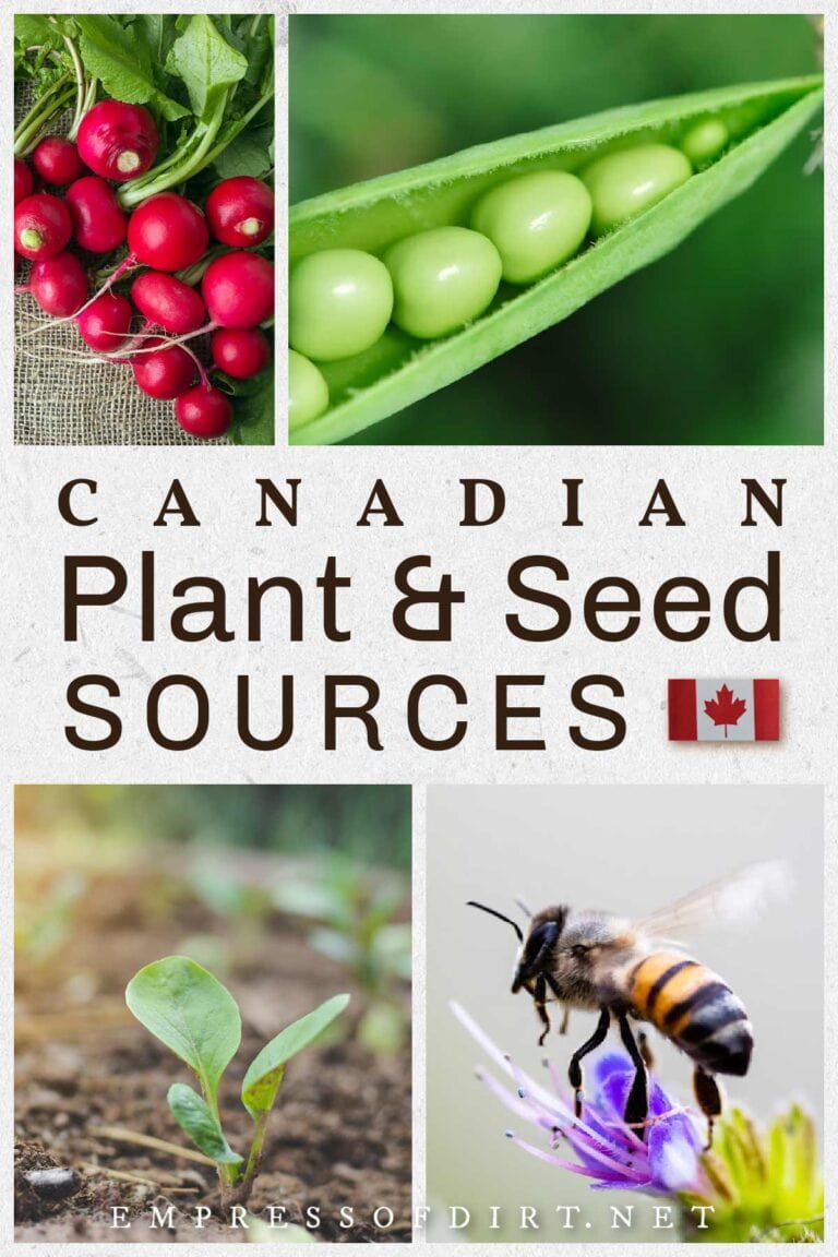 Canadian Garden Plant & Seed Sources (By Province) — Empress of Dirt