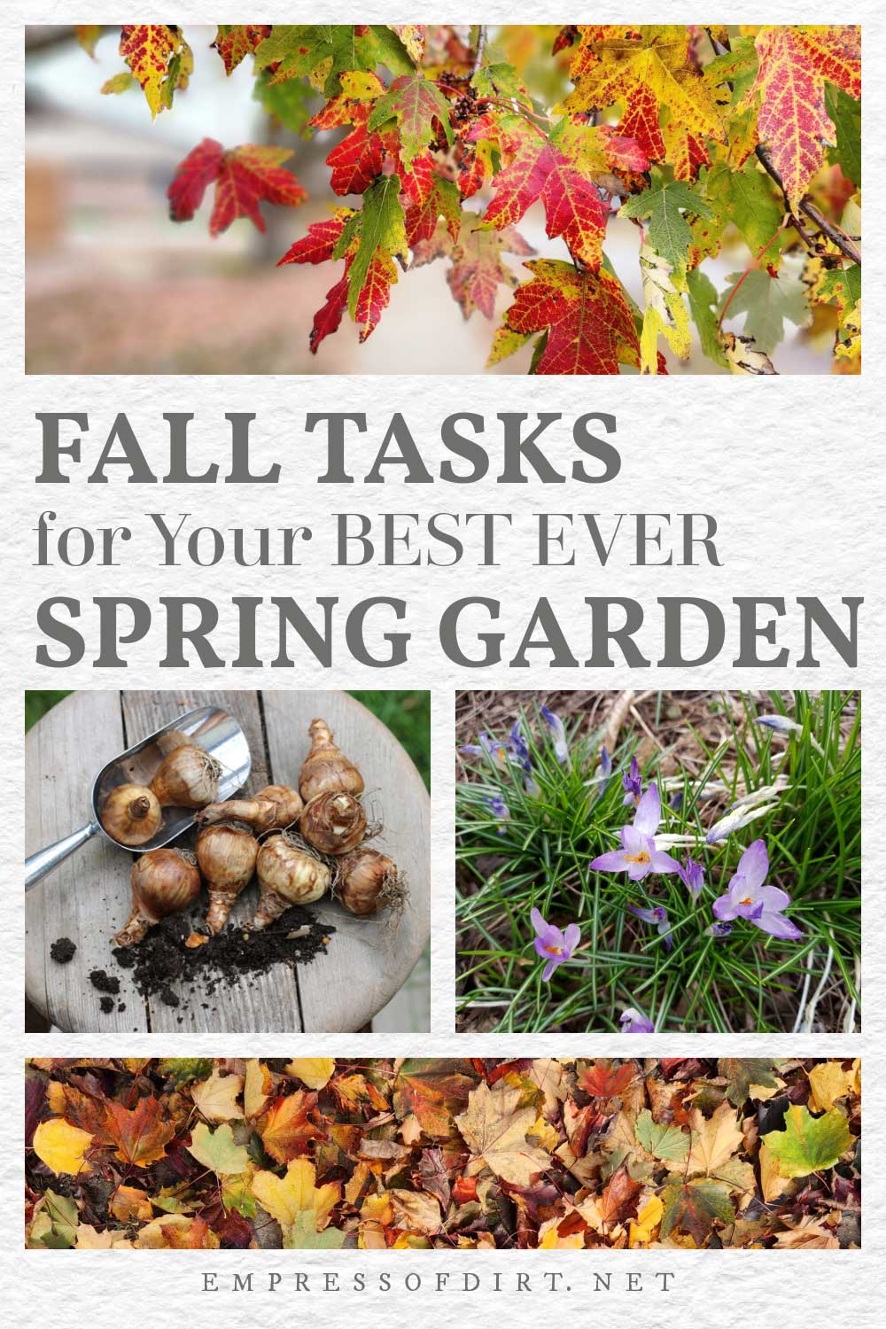Collage showing fall leaves, flower bulbs, and flowering bulbs.