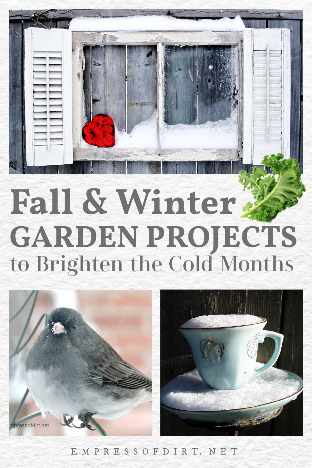 Collage of images from a winter garden including a garden art teacup and bird with snow.