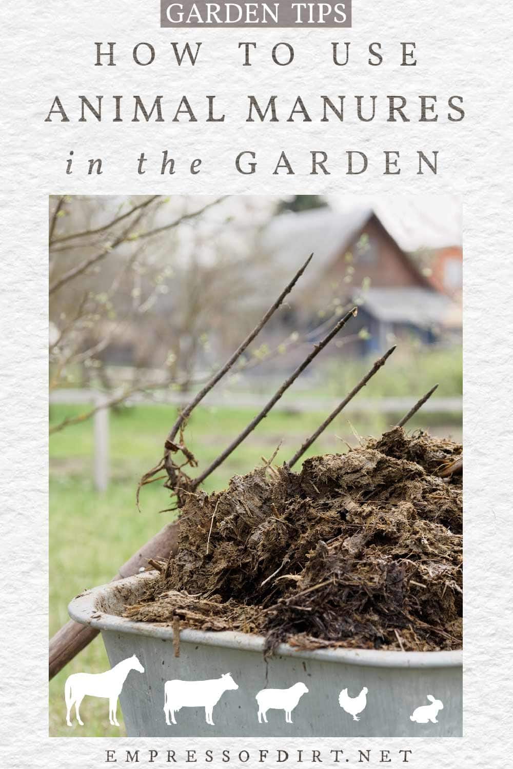 Which Animal Manure is Best For Home Gardens?