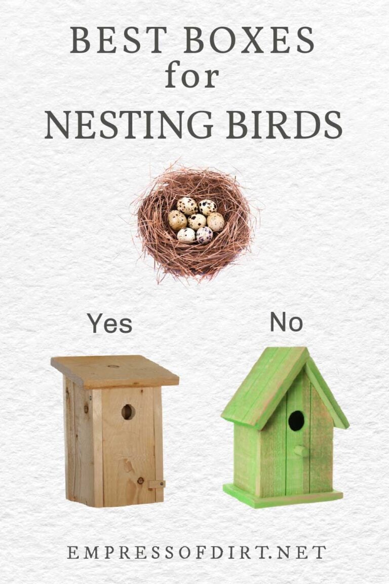 Nesting Boxes Versus Birdhouses What's Best For Birds