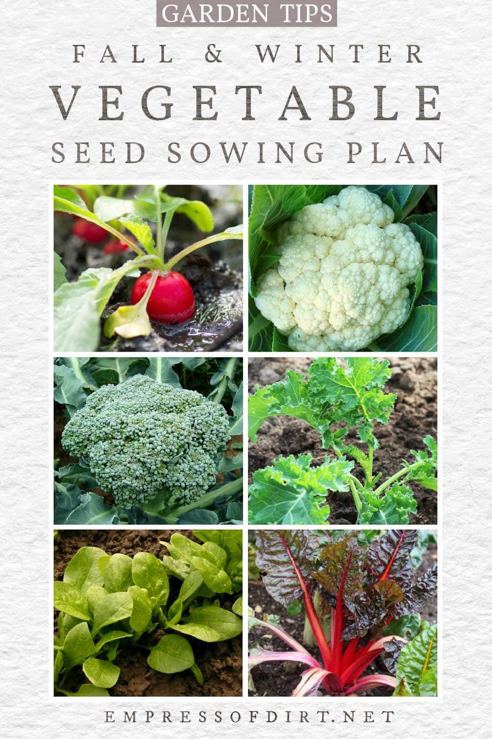 Collage of vegetables that grow in fall and winter including radish, cauliflower, broccoli, and chard.