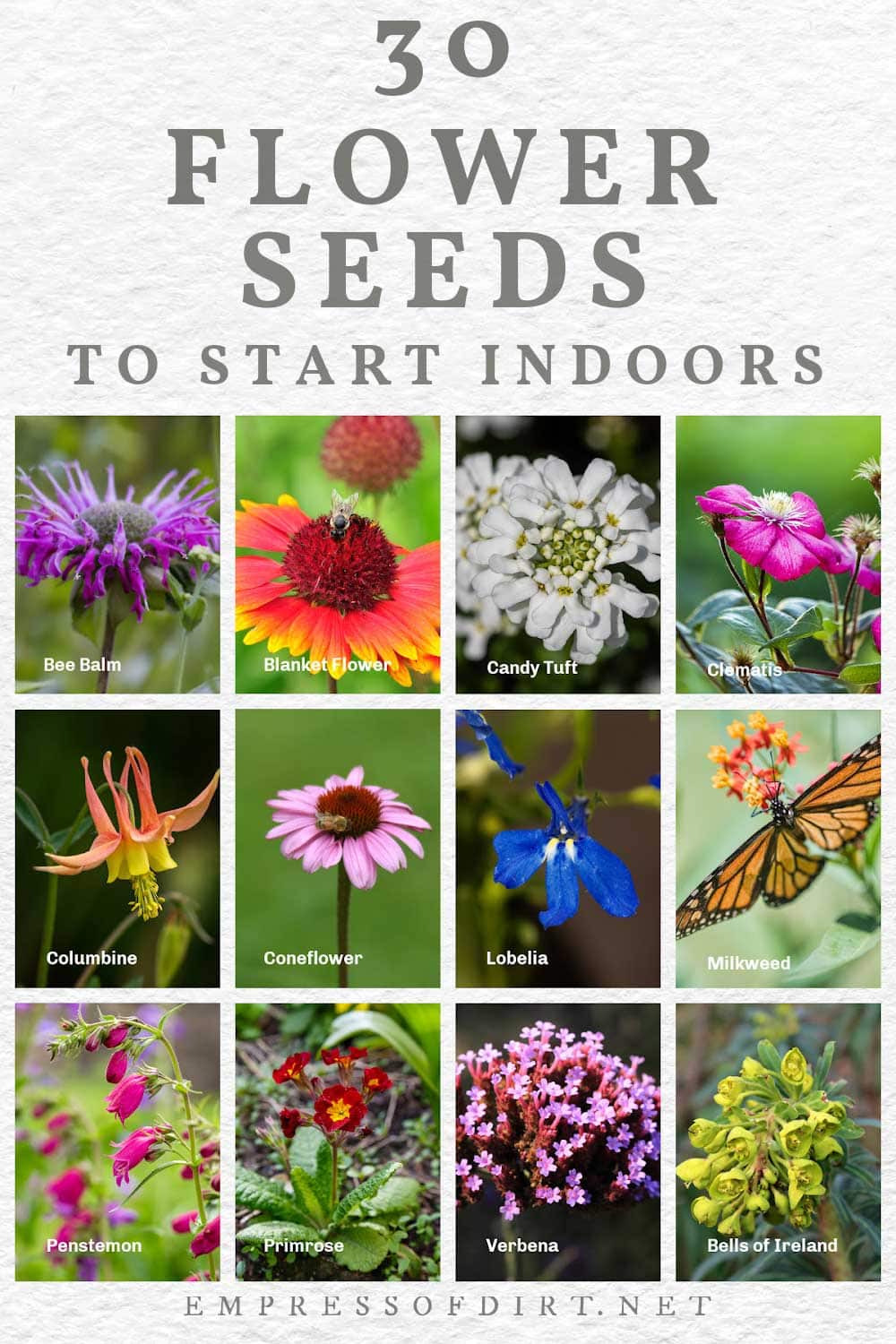 30 Flower Seeds To Start Indoors Late Winter Spring 