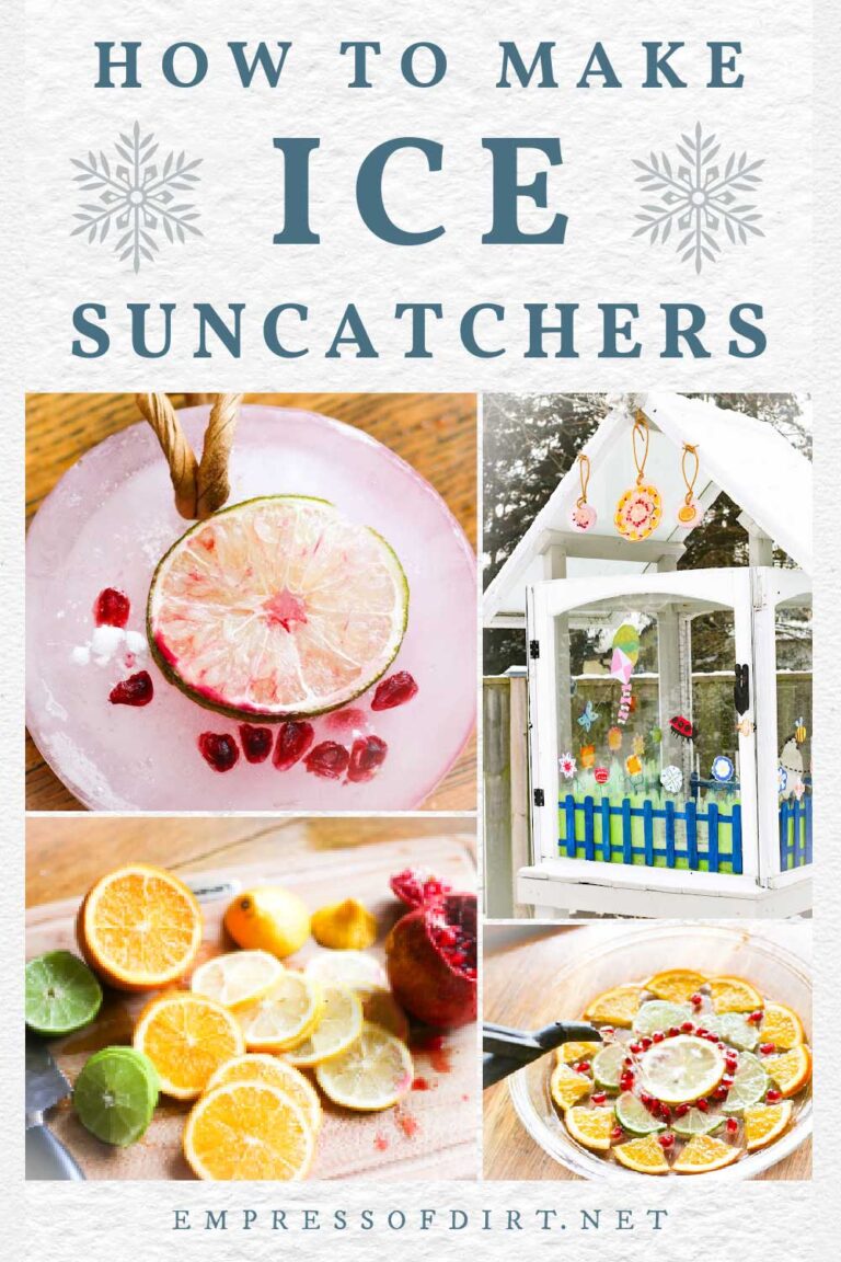 How To Make Ice Suncatchers (Easy Winter Craft)