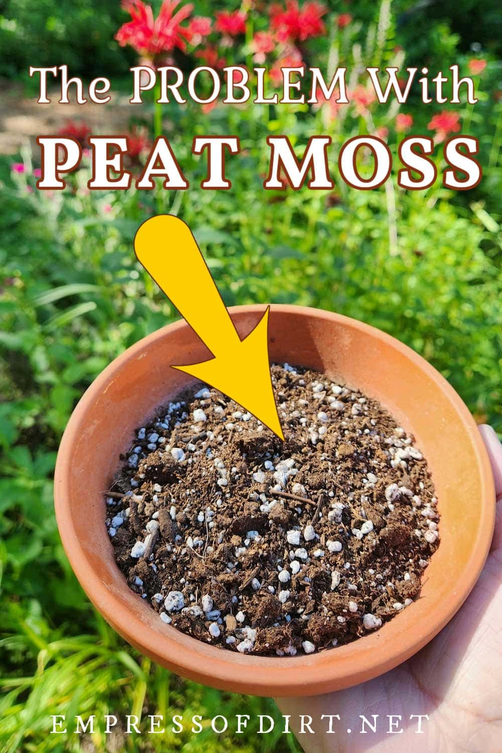Bowl of potting mix with peat.