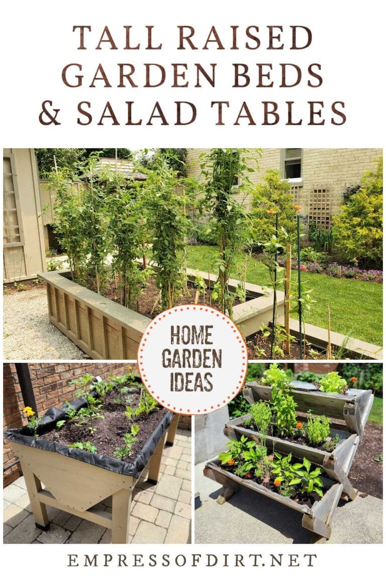 14 Tall Raised Bed & Salad Table Ideas