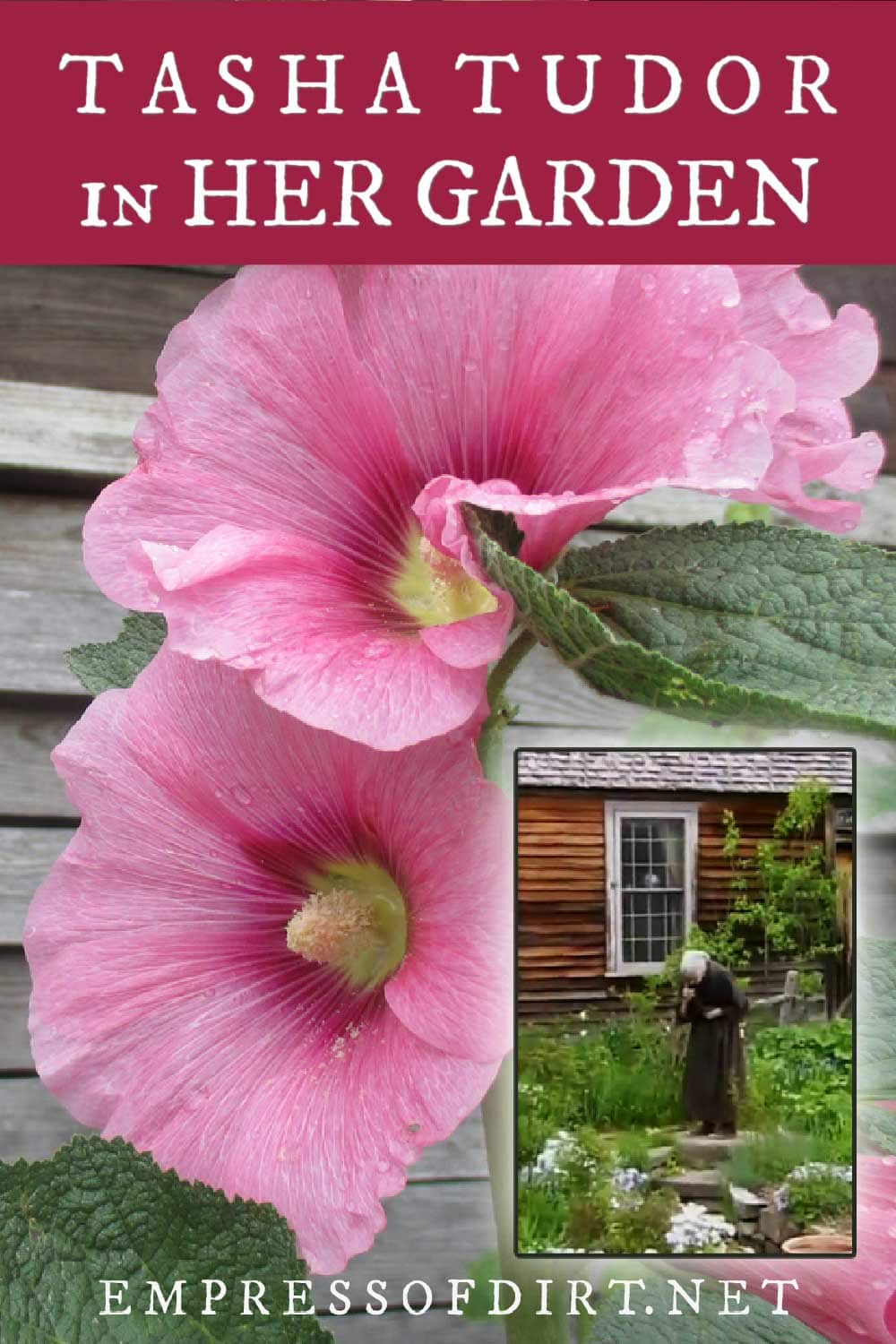 Collage showing Tasha Tudor in her garden and large pink hollyhock flowers.