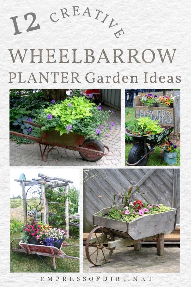 12 Creative Wheelbarrow Planter Ideas — Empress of Dirt