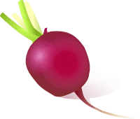 radish