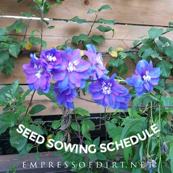 It is an image of Printable Seed Starting Chart intended for science project It's just a photo of Printable Seed Starting Chart intended for science project