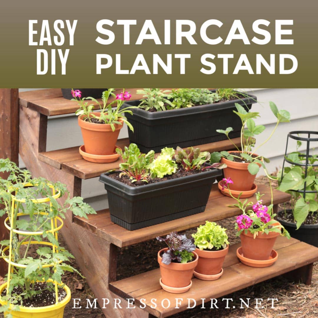 How to Build a Simple Staircase Plant Stand Empress of Dirt