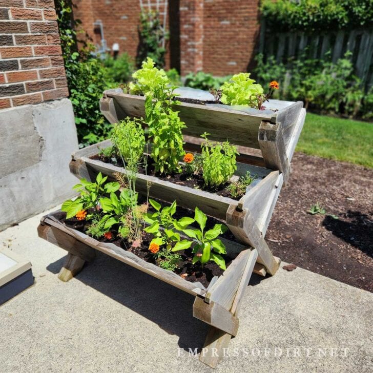 14 Tall Raised Bed & Salad Table Ideas