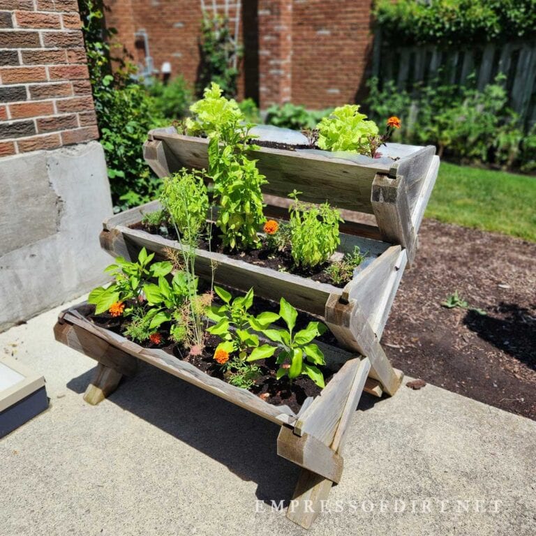 14 Tall Raised Bed & Salad Table Ideas
