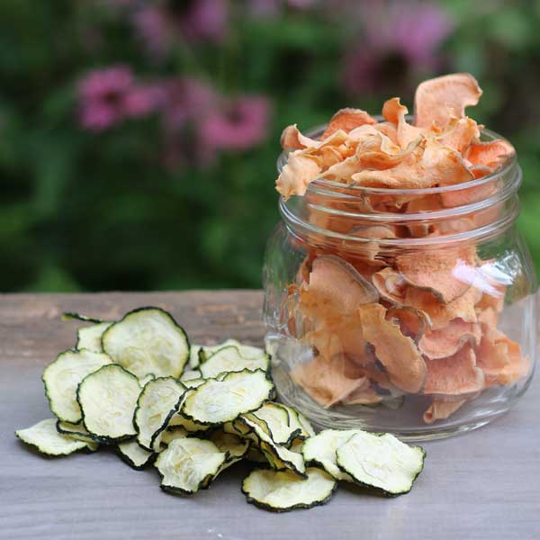 How to Make Crispy Baked Veggie Snack Chips (Recipe) Empress of Dirt