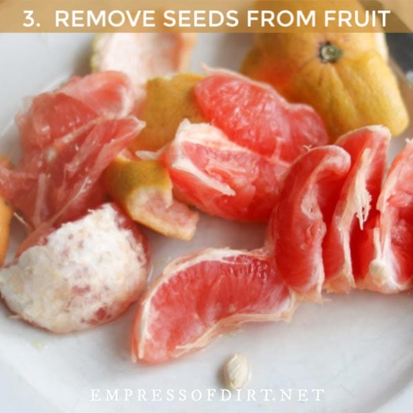 Pink grapefruit with one seed.