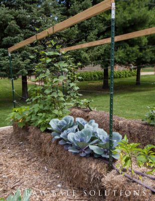 How to Get Started with Straw Bale Gardening | Empress of Dirt