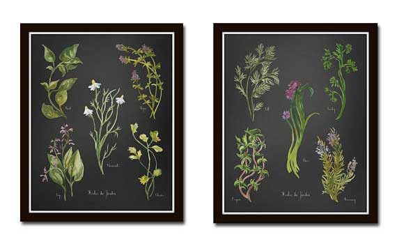 Watercolor Herb Prints by BelleMaisonArt Etsy Shop. 