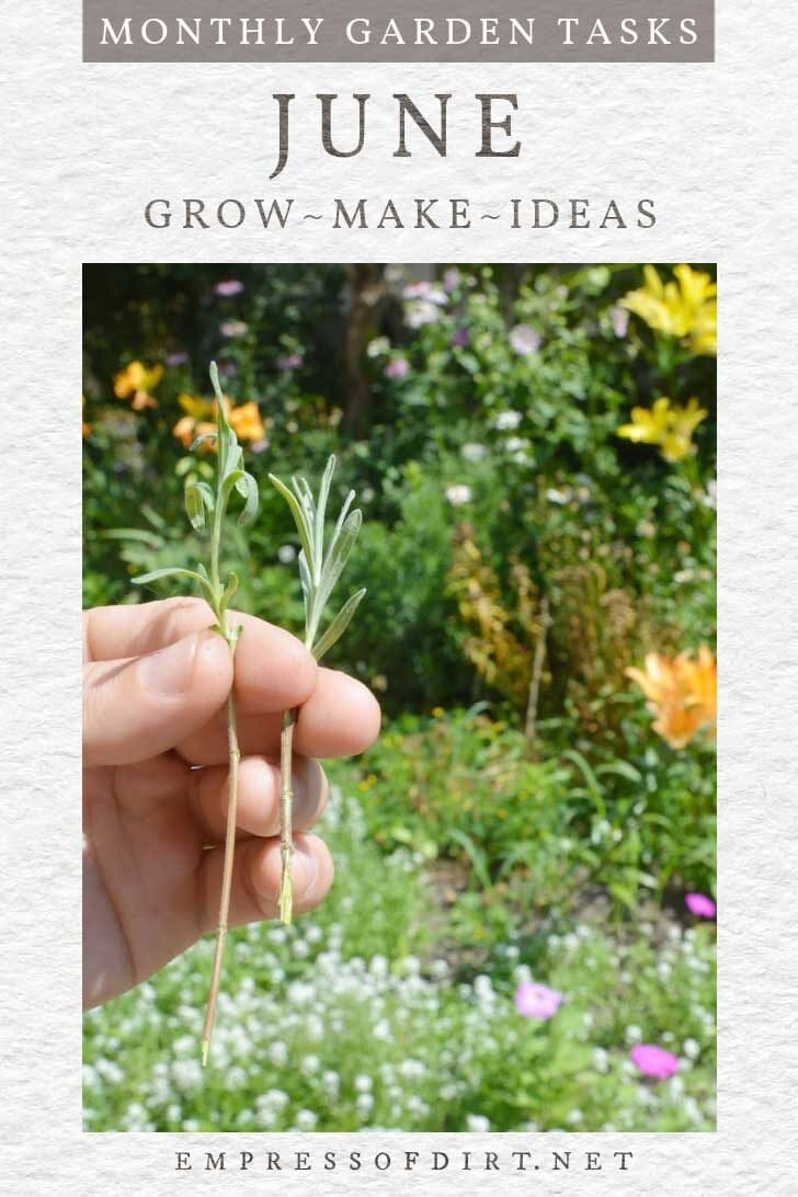 June Garden Tasks What to Make & Grow Empress of Dirt