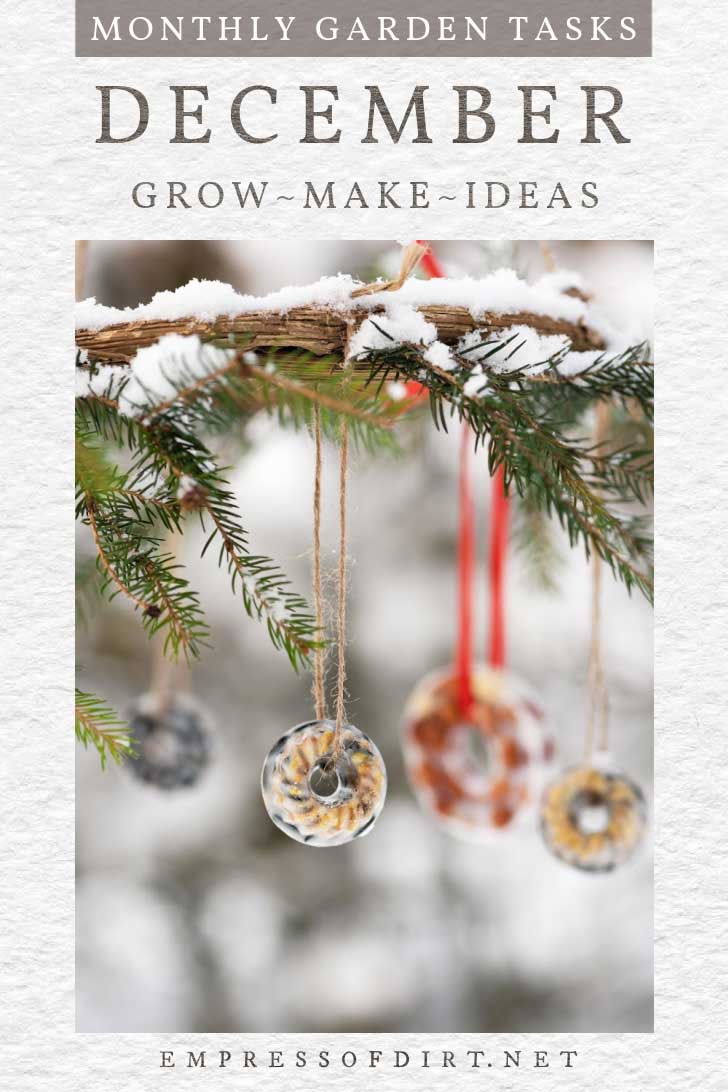 December Garden Tasks What to Make & Grow Empress of Dirt