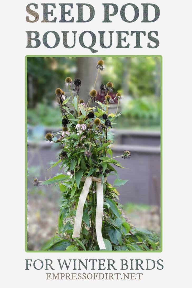 Seed pod bouquets in the garden.