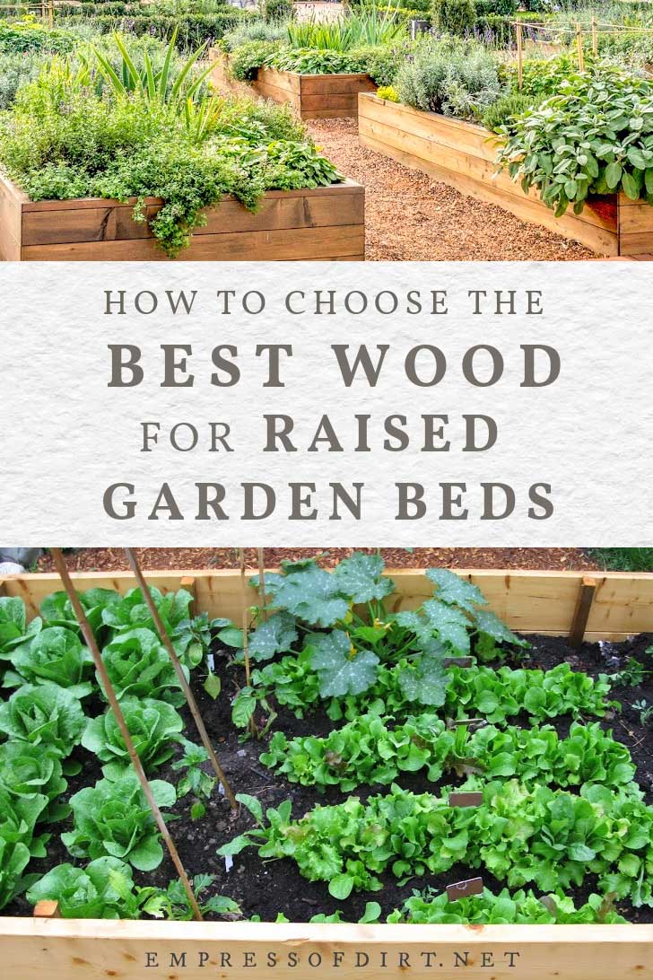 What Type Of Wood For Raised Garden Marcotte Frientor