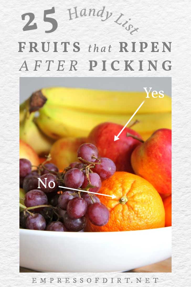 25 Fruits That Ripen After Picking (& Those That Don't)