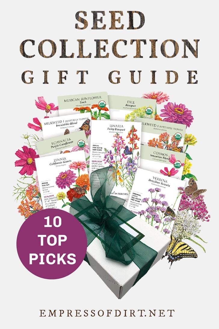 10 MustHave Seed Collections to Give as Gifts