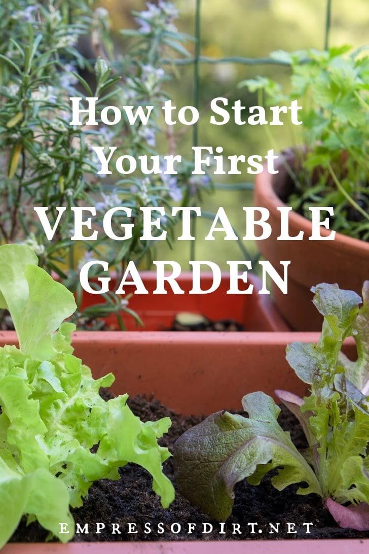 Vegetables in a container garden.